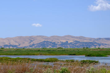 suisin-solano-county.jpg suisin-solano-county.jpg